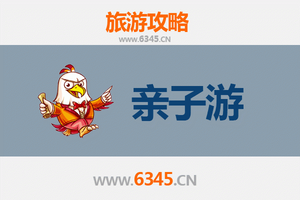 五指山番阳镇亲子游全攻略：雨林探险与黎苗文化体验